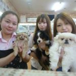犬をペットホテルに初めて託した時のこと